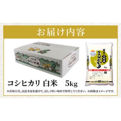 ふるさと納税 大野市 【令和7年産 】大野産コシヒカリ(白米)5kg【大野ブランド米 名水育ち】 |  | 03