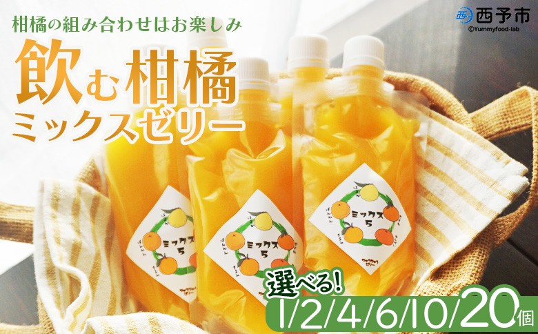 
                  ＜つるんと食感の飲む柑橘ミックスゼリー＞『1か月以内に順次発送予定』選べる 内容量 ゼリー パウチ みかん 蜜柑 デザート スイーツ おやつ のむ ストレート 果汁 100％ 食感 ぷるぷる お楽しみ 渡江から一歩を踏み出す会 愛媛県 西予市 【常温】
                