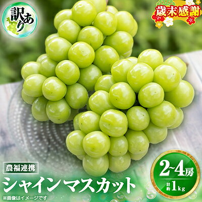 【ふるさと納税】2026年先行予約【見た目は訳あり?味は満足!】農福連携シャインマスカット計1kg【ご家庭用】【配送不可地域：離島】【1679907】