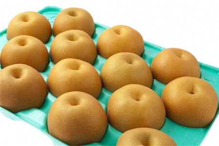 【先行予約】甘～ぃ！ジューシー！！晩生梨の代表 京丹後産 新興梨 5kg（9～13玉）（2025年10月中旬～発送）