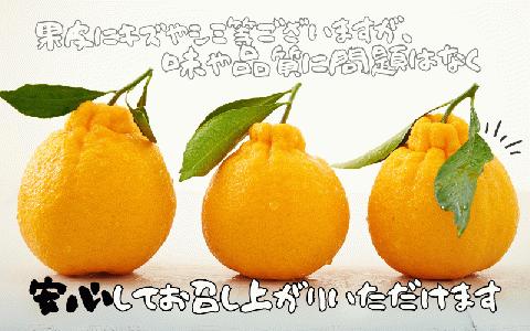 訳あり M-4L サイズおまかせ 石本農園の不知火 4.5kg【2025年2月上旬から3月上旬までに順次発送】 /  くだもの フルーツ 果物  みかん 不知火 デコポン【mis012A】