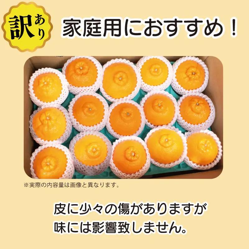 訳あり 不知火 3.8kg 13個入り 不知火 みかん しらぬい