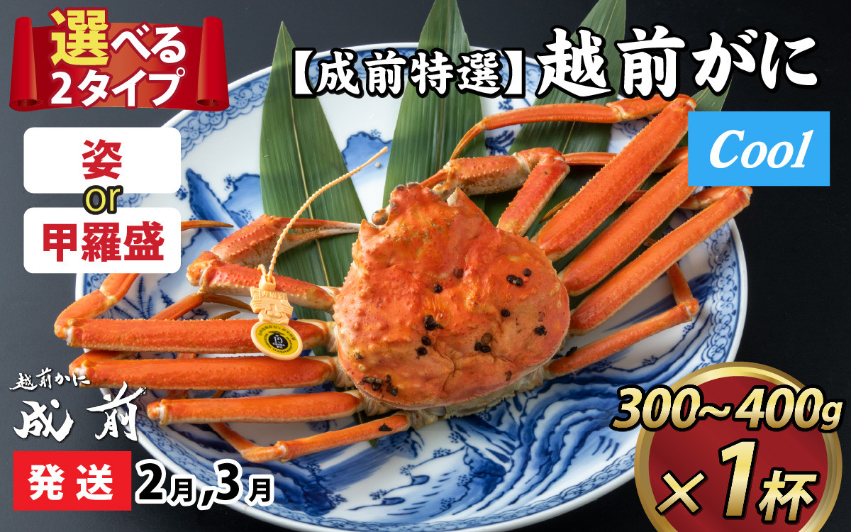 
【先行予約】選べる！美味しさ直送【成前特選】越前かに（300g～400ｇ）×1杯【2月～3月発送】 [C-028041]
