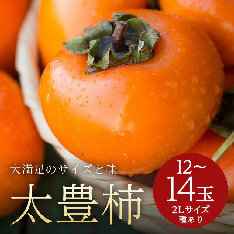 【ふるさと納税】【 2025年 先行予約 】 太豊柿 2L 12玉 （鈴木柿園） 柿 甘い柿 糖度高い 太豊かき 大玉 カキ 甘い 果物 フルーツ くだもの かき 秋 旬 甘柿 贈答用 贈答品 ギフト 贈り物 品種 ブランド 発送 産地直送 農家直送 産直 茨城県 石岡市 (A08-007)