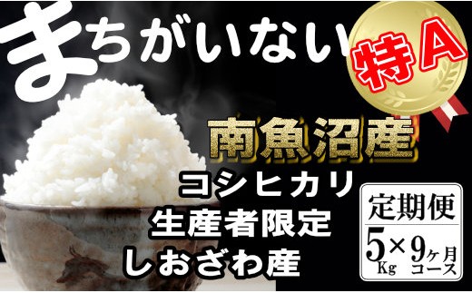 【令和8年産　新米予約】【定期便】生産者限定 契約栽培　南魚沼しおざわ産コシヒカリ（5Kg×9ヶ月）【定期便 銘柄米 ブランド米 精米 こしひかり コシヒカリ 魚沼産 新潟米 産地直送 お米 米 】【2026年10月上旬より1ヶ月以内に順次発送予定】