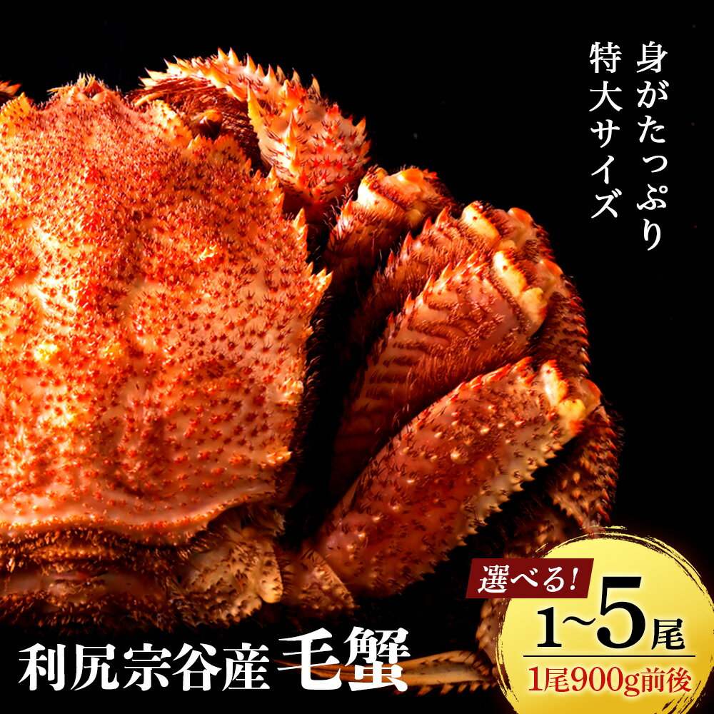 【ふるさと納税】【新物予約開始】 毛ガニ 北海道 利尻・宗谷産 毛ガニ 特大サイズ（900g前後） 選べる1尾〜5尾 ＜利尻漁業協同組合＞北海道ふるさと納税 利尻富士町 ふるさと納税 北海道 海鮮 カニ 蟹 毛ガニ 毛蟹 蟹みそ 毛ガニ 濃厚 蟹棒 蟹甲羅 おせち
