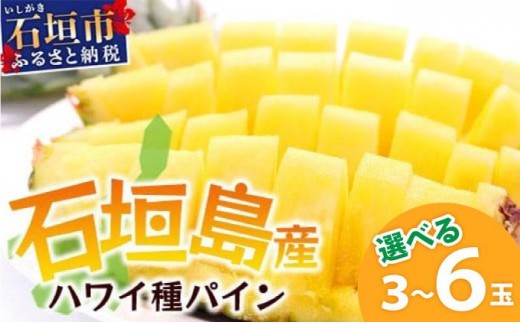 
                  【先行予約】《2026年6月上旬頃より順次発送》石垣島産 ハワイ種 パイン 3～6玉 約3～6kg | 産地直送 沖縄 石垣 パイナップル フルーツ 石垣さんちの石垣トロピカルファーム
                