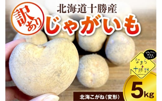 【10月上旬～1月下旬頃配送】【訳あり】北海道十勝芽室町 農家応援じゃがいも 北海こがね（変形）5㎏　me001-050c-3