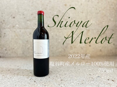 塩谷メルロー 2022 赤ワイン 750ml 1本