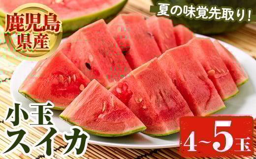 鹿児島県産 小玉スイカ(4～5玉) 国産 果物 スイカ すいか 西瓜 フルーツ スイーツ スムージー ジュース 期間限定【松永青果】akn053-25