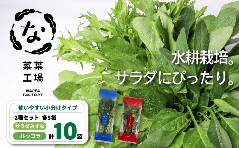 葉野菜 2種セット サラダ みずな ルッコラ | ほうれんそう ホウレンソウ 水菜 ミズナ 生食 野菜 セット 新鮮 健康 人気 おすすめ 高知県 南国市
