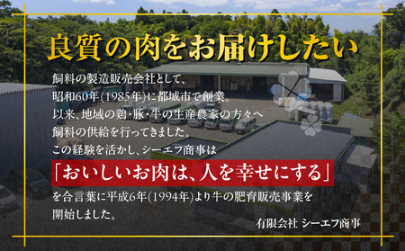 宮崎牛ローススライス400g≪大判サイズ≫_MJ-N304_(都城市) 宮崎県 都城市産 宮崎牛 ローススライス 霜降り 大判スライス 柔らかい コク 脂の甘み