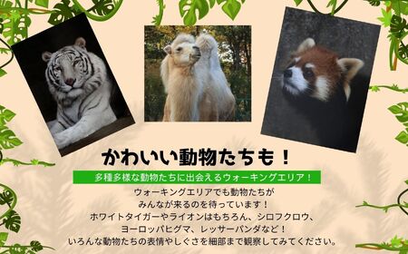 東北サファリパーク入園チケット 大人2名＋小人1名（ 入園チケット＋草食動物のエサ）【株式会社東北サファリパーク】