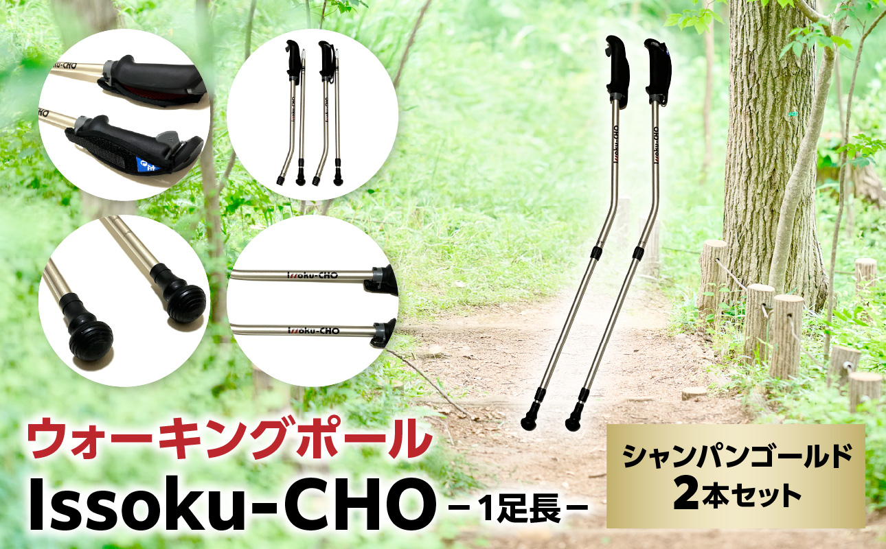 【R17013】ウォーキング Issoku-CHO（1足長） シャンパンゴールド 2本セット