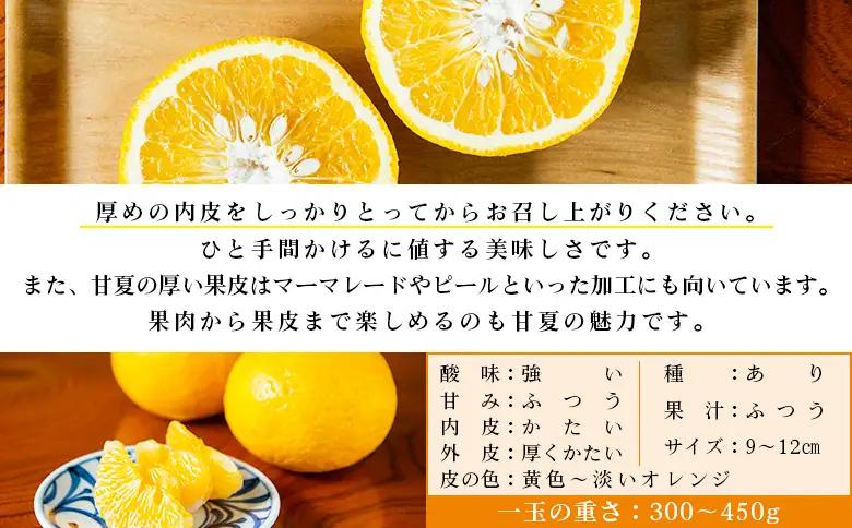  【先行予約】＜無茶々園の甘夏 約5kg＞ 果物 あまなつ みかん ミカン 蜜柑 柑橘 フルーツ 期間限定 季節限定 食べて応援 特産品 愛媛県 西予市 【常温】『2027年3月～5月上旬迄に順次出荷