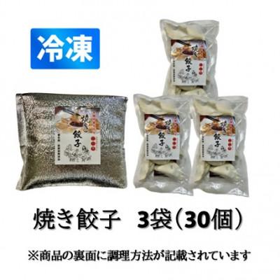 ふるさと納税 かほく市 本格手作り 冷凍餃子セット(10個入×3袋 計 30個) |  | 01