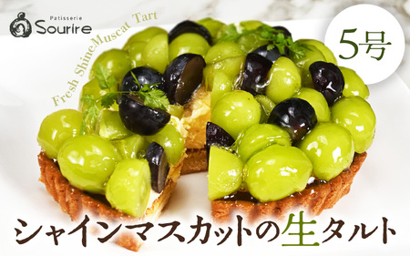 シャインマスカットのフレッシュタルトケーキ 5号：直径15cm (4〜5人前) 850g 2026年8月発送 スイーツ ケーキ [A-5220_08]