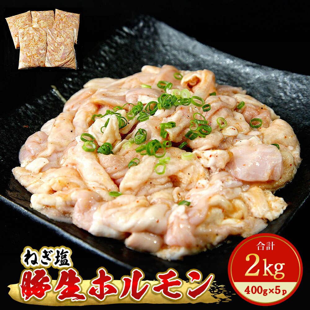 【ふるさと納税】ホルモン 豚生ホルモン ねぎ塩 2kg（400g×5袋） 冷凍 小分け 豚ホルモン 生ホルモン ブタホルモン 焼肉 バーベキュー 宮城県 東松島市 H
