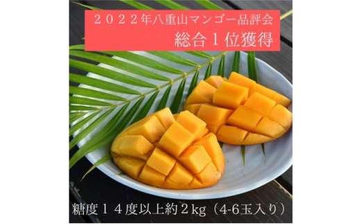 
2024年 先行予約 アップルマンゴー 約2kg 4～6玉 セット 八重山マンゴー品評会総合1位を計3回獲得！高糖度保証！農園ファイミール 濃厚 果物 フルーツ

