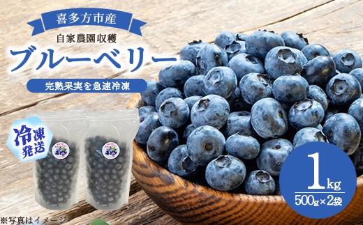 
                  【冷凍】喜多方市産ブルーベリー　1kg(500g×2袋)　【07208-1041】
                