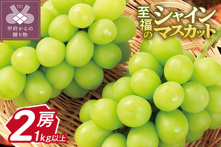 【新規格登場!!】〈2026年度配送分〉至福の山梨県産シャインマスカット 2房（1.0kg以上）シャインマスカット 山梨 県産 2026年度 先行予約 甲府 市産 ぶどう フルーツ 果物 2～3房 冷蔵 1.2kg以上 種なし 大粒 高級 甘い リピーター多数 【2026年8月中旬～9月下旬頃にかけて順次発送】