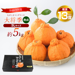 【先行予約】熟成 ながしまマンダリン王(大将季) 約5kg【ながしまマンダリングループ】mandarin-7199