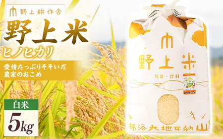 【2025年10月下旬より順次発送開始】野上耕作舎 野上米ヒノヒカリ 白米5kg ひのひかり 白米 米 お米 ご飯 国産 九州産 福岡県 うきは市