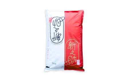 新之助 先行予約 新潟県三条産新之助 5kg×1袋 令和7年産新之助 精米 新潟県産新之助