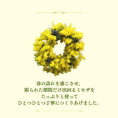 ふるさと納税 日出町 【2027年3月より順次発送予定】日出町から春をお届け♪ふわふわのミモザをたっぷり使ったリース |  | 01