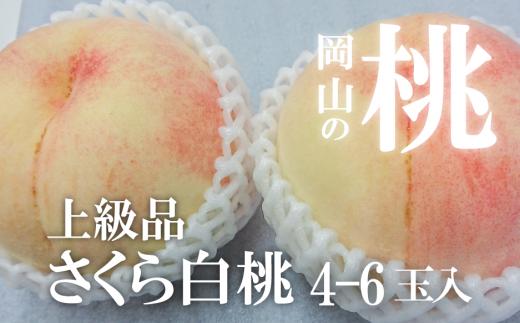 KF-A010-01【きよとうファーム】さくら白桃（上級品）4-6玉入 (岡山県産)