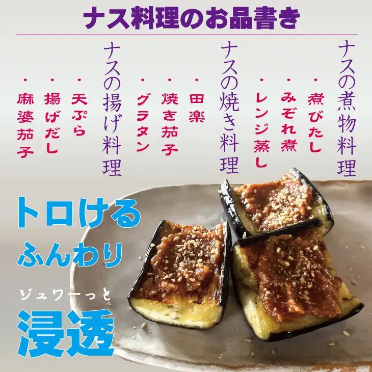 小城市産 筑陽ナス 4kg 朝採れ 新鮮 ハウス栽培 茄子　A095-021