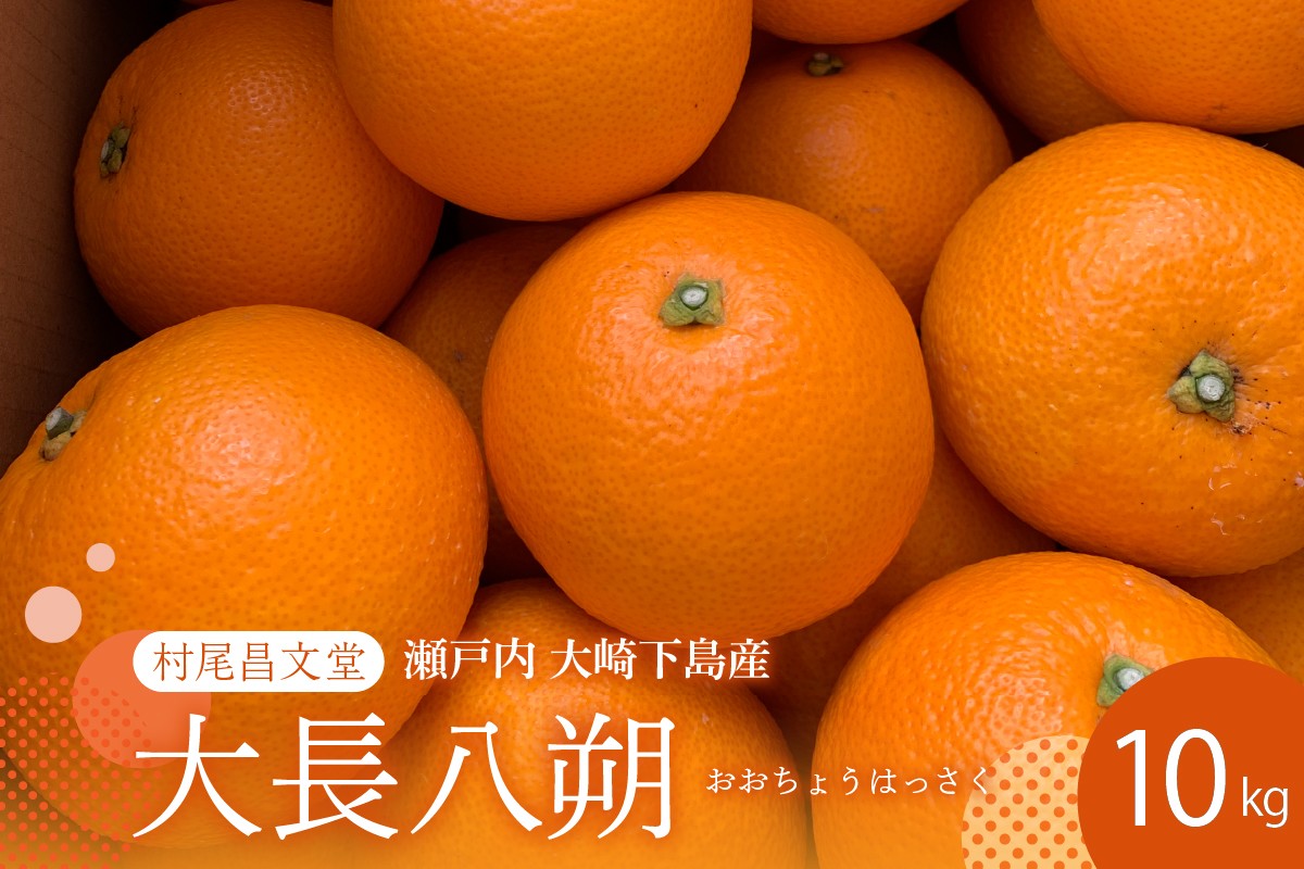 
            【2026年2月上旬～発送】瀬戸内 大崎下島産 大長八朔 10kg ku012-011-25
          