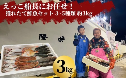 
えっこ船長にお任せ！獲れたて鮮魚セット 3～5種類 約3kg（鮮魚 詰合せ ボックス）
