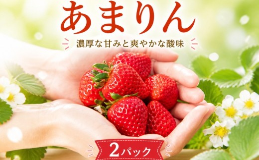 【先行予約】 あまりん いちご  2パック 苺 ブランド苺 イチゴ フルーツ 甘い お取り寄せいちご フレッシュ ストロベリー 産地直送 ご当地 果物 くだもの フルーツ デザート 美味しい 人気 ふるさと納税 ふるさと納税苺 ふるさと納税いちご ジャム amarinn 食品 冷蔵 贈答 ギフト 新鮮 旬 あまりん いちご 風の子ファーム 埼玉県 羽生市