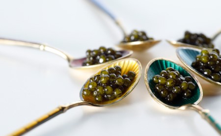 キャビア  「ゴ・エ・ミヨ2020」テロワール賞受賞 瀬戸内キャビア 15g つまみ 魚貝類 魚卵 加工品 贅沢 世界三大珍味 国産キャビア 高級食材 家飲み パーティー 記念日 誕生日 生キャビア 