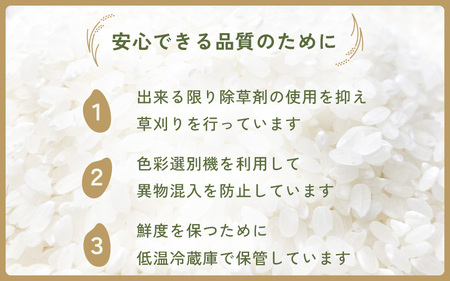 【令和7年産・新米】お米 こしひかり 5kg（精米） 福井県産 炊きたての美味しさを追求したお米【米 コメ kome 5キロ 精米 白米 人気品種 便利】 [e47-a007]