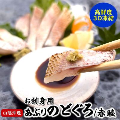 ふるさと納税 新温泉町 山陰沖　お刺身用あぶりノドグロ　2パック　高級魚 アカムツ　生食用
