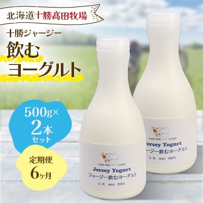 【毎月定期便】【十勝高田牧場】ジャージー飲むヨーグルト 500g×2本セット全6回【配送不可地域：離島】