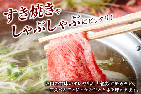 訳あり 黒毛和牛 赤身薄切り 計1kg 牛肉 しゃぶしゃぶ すき焼き 国産 宮崎県産【B650-25】