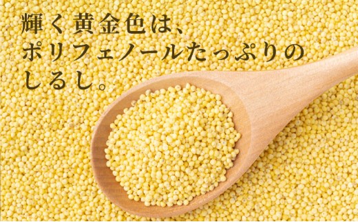 沖縄県波照間島産　日本最南端の島から贈る『もちきび』400g×1袋　とんちぇ農園（農薬・化学肥料不使用）【もちきび 波照間島 沖縄 農薬不使用 国産 雑穀】