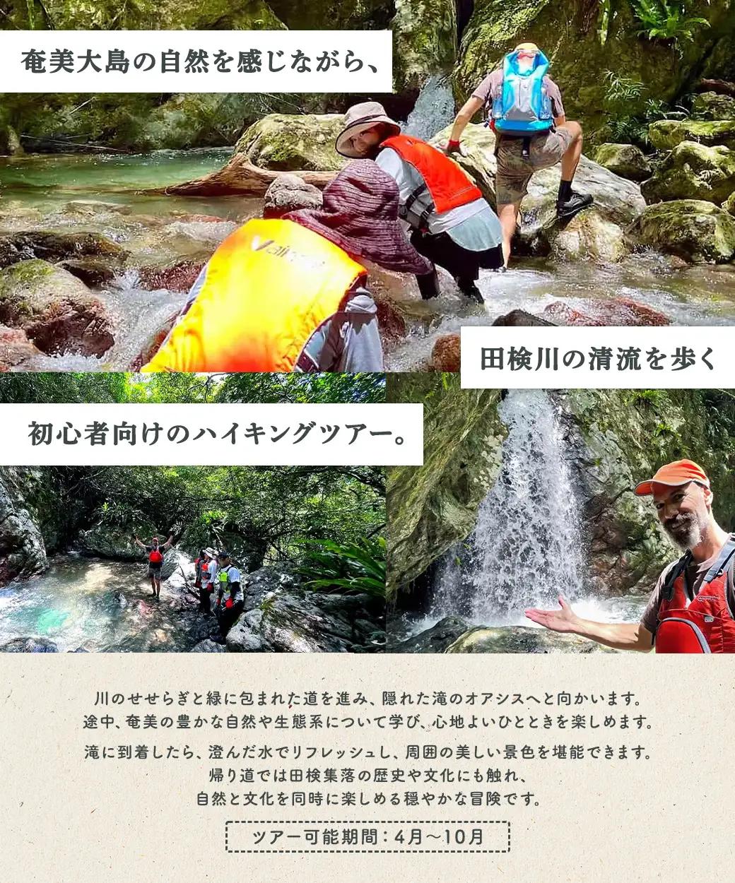 【ツアー可能期間：4月～10月】田検の隠れ滝ハイキング 体験 3名様 奄美大島 宇検村 鹿児島県 旅行 自然 冒険 完全プライベート