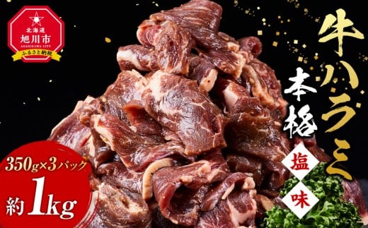 牛ハラミ約1kg(350g×3)（本格塩味）【 牛肉 お肉 焼肉 焼き肉 やきにく タレ 漬け 付き 味付き にく 小分け 個包装 冷凍 セット BBQ アウトドア キャンプ 人気 大容量 大量 北海道 簡単調理 焼くだけ ハラミ 牛ハラミ お取り寄せ 旭川市 北海道 】_5076