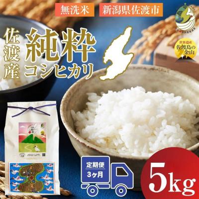 ふるさと納税 佐渡市 【発送月固定定期便】令和8年12月発送開始 新潟県佐渡産純粋コシヒカリ 旨い無洗米5kg全3回