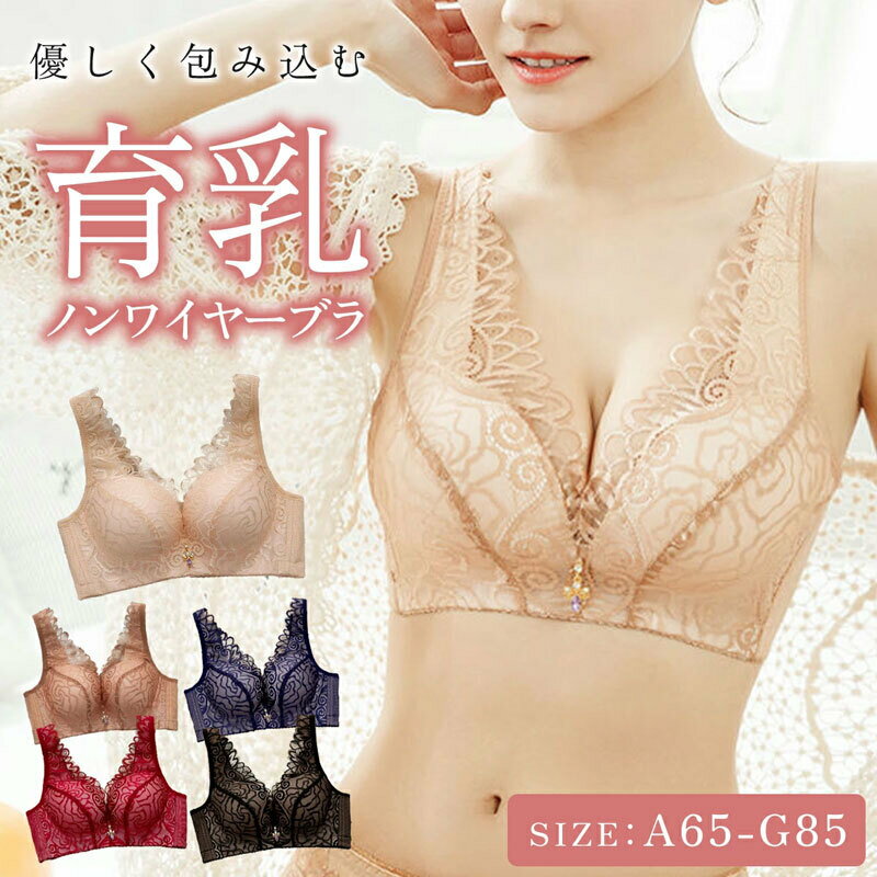 【ふるさと納税】ノンワイヤー育乳ブラ ブラジャー 1枚 選べる カラー ブラック ベージュ カフェラテ ネイビー ワインレッド サイズ シースルー 補正 下着 女性 レディース 愛知県 小牧市 送料無料