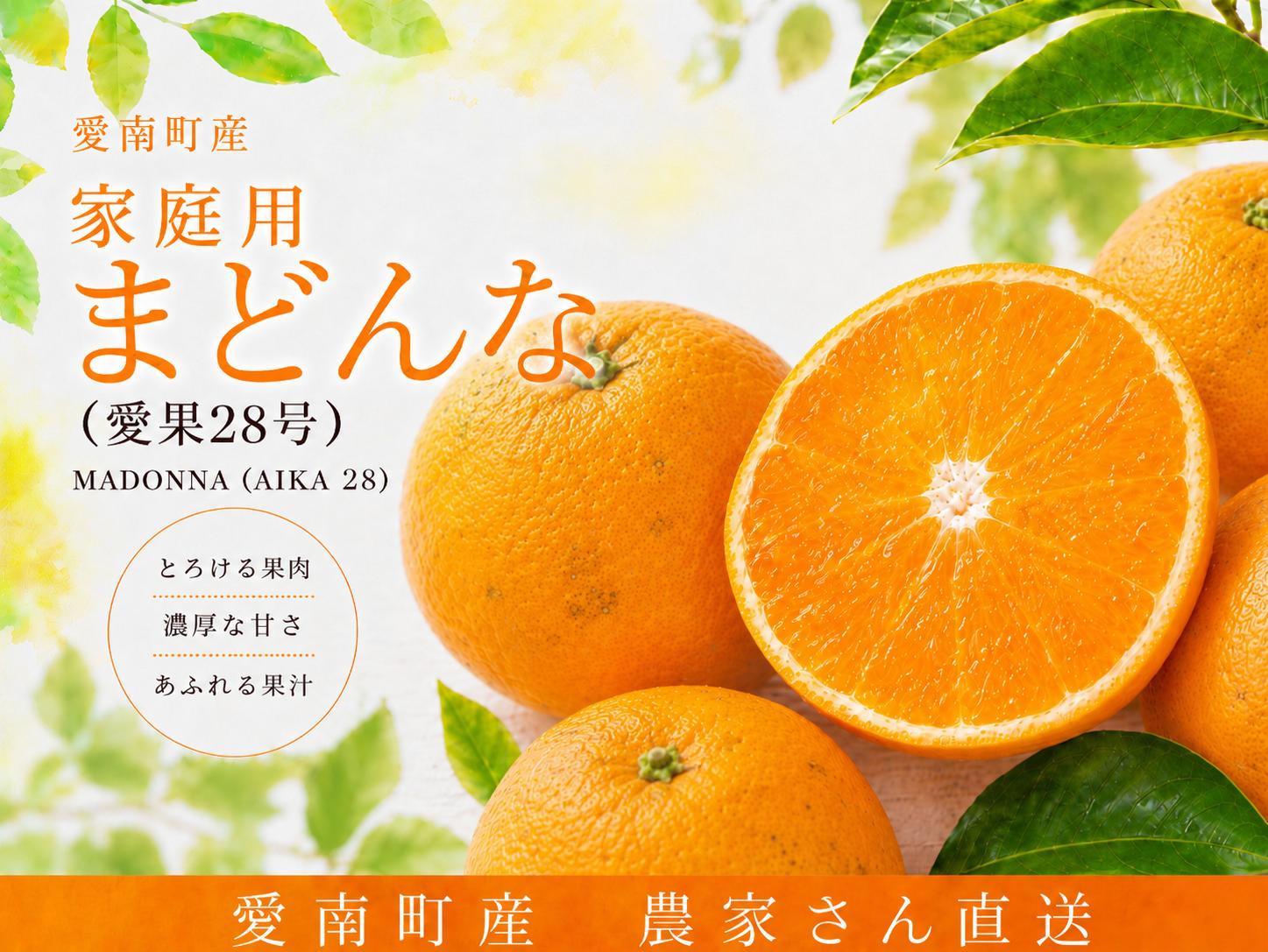 
                  【先行予約】【数量限定】家庭用  まどんな 3kg (愛果28号） 11000円 愛媛 みかん 紅まどんな と同品種  みかん 温州ミカン 温州 mikan 蜜柑 ミカン 家庭用 贈答用 ギフト プレゼント お歳暮 産地直送 農家直送 糖度 数量限定  ゼリー ジュース 人気 限定 甘い フルーツ 果物 柑橘 ビタミン 美味しい おいしい サイズ ミックス 愛南町 愛媛県 マルハラファーム
                
