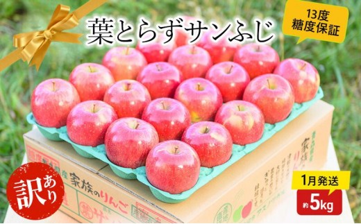 【 1月発送 】糖度13度以上 訳あり品 家庭用 葉とらず サンふじ 約 5kg 【 青森りんご 】 果物 フルーツ 食後 デザート 青森県産 産地直送