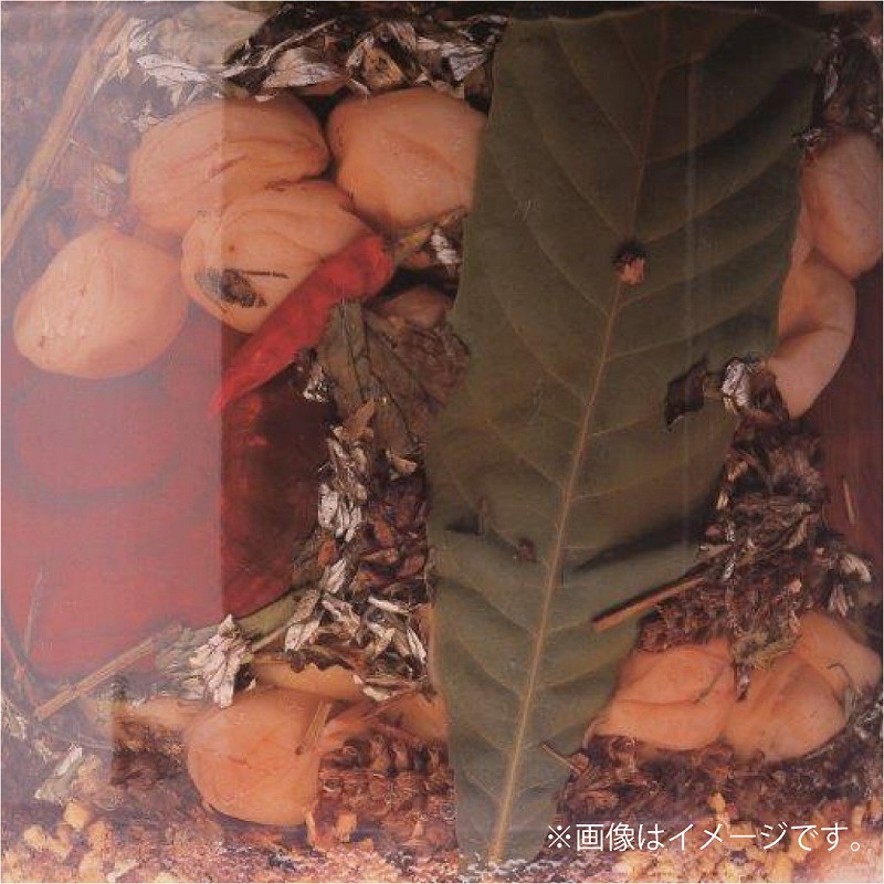 薬師梅【蜜(はちみつ味)】 yakushi002