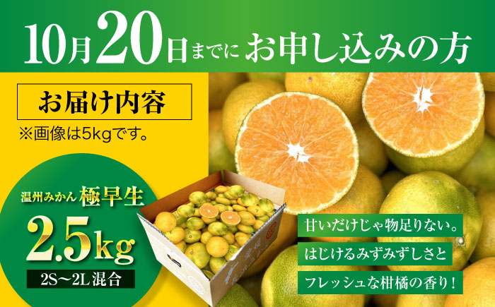 【10月上旬より順次配送】 酸味さわやか愛媛じるし! 温州みかん 2.5kg （2Sから2L混合サイズ） みかん 愛媛 みかん ジュース 果物 くだもの フルーツ 愛媛県大洲市/玉川農園 [AGBC0