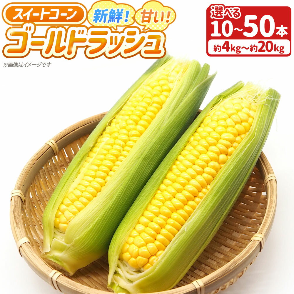 【ふるさと納税】＜選べる内容量＞新鮮！甘い！スイートコーン ゴールドラッシュ 「道の駅とよとみ」より厳選したものを出荷！ 10本（約4kg） / 【3個口】50本（約20kg） とうもろこし トウモロコシ 野菜 国産 山梨県産 中央市 送料無料 【2026年6月上旬～7月上旬発送予定】