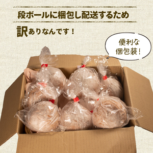 【 訳あり 】 芳醇な香り ライ麦 パン 10個 冷凍  ライ麦パン